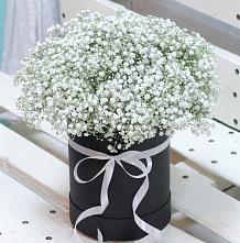 Цветочная композиция из Гипсофила в шляпной коробке #REPLACE_PRED# Муром