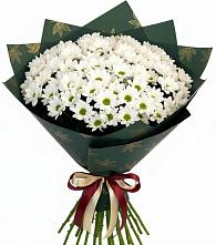 Букет цветов из:  Хризантемы #REPLACE_PRED# Муром