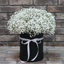 Цветочная композиция из Гипсофила в шляпной коробке в Муром