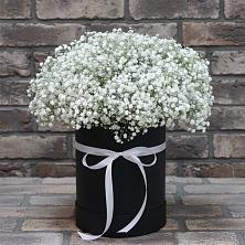 Цветочная композиция из Гипсофила в шляпной коробке в Муром