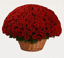 Премиум букет из: Розы в Муром